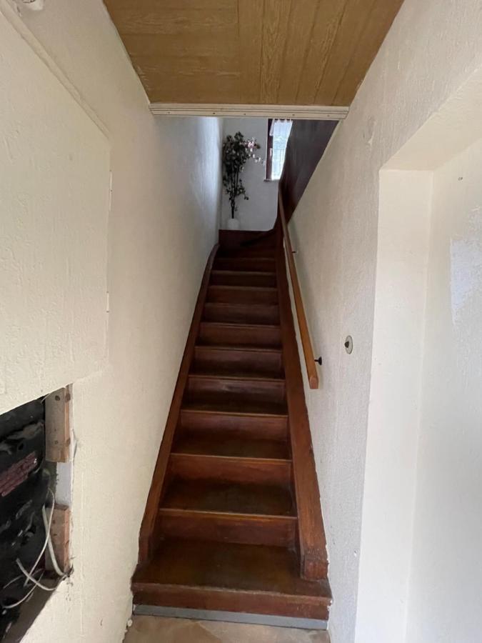 Bollgarten Apartment 8 科隆 外观 照片